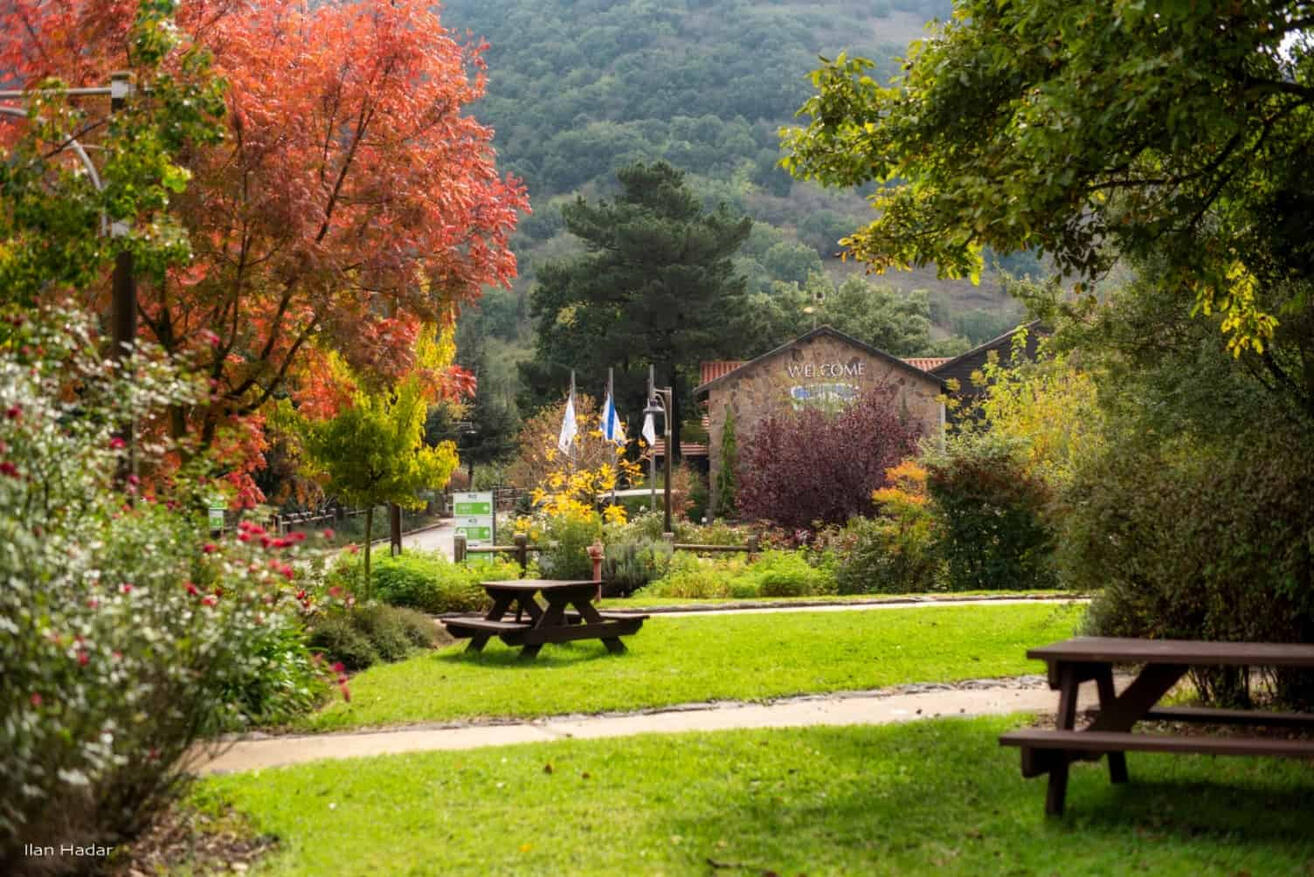 ריטריט הצפון שלנו